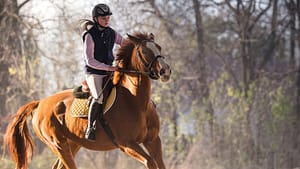 Best Horse Riding Boots for Women